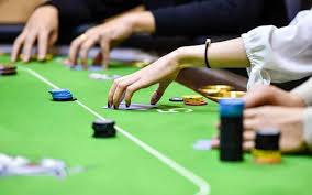 ngọn lửa vàng : sói tundra P3 vương quốc hải vương tinh c98bet MD5 Kuwin là game casino HOT nhất hiện tại